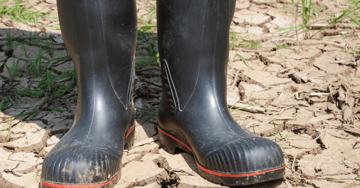 Can You Put Rubber Boots in the Dryer? 2024 ANSWERED!